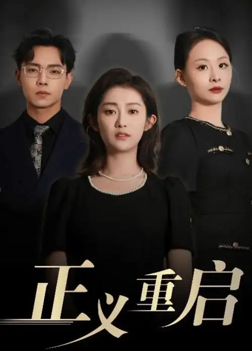 她的第二人生 都市剧海报